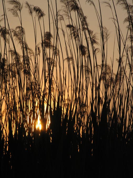 Sunset at White Lake