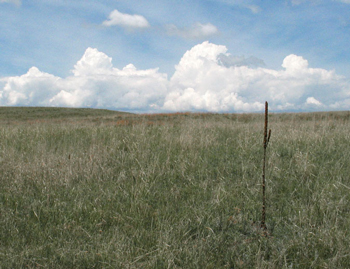 High Plains - The Gathering